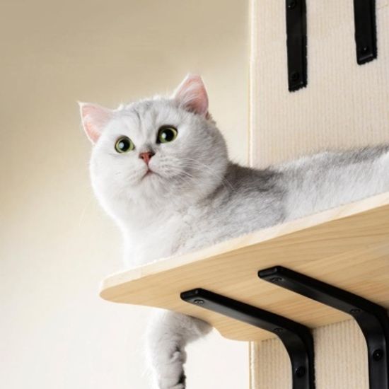 고양이 고급 캣타워 계단 캣폴 원목 놀이터