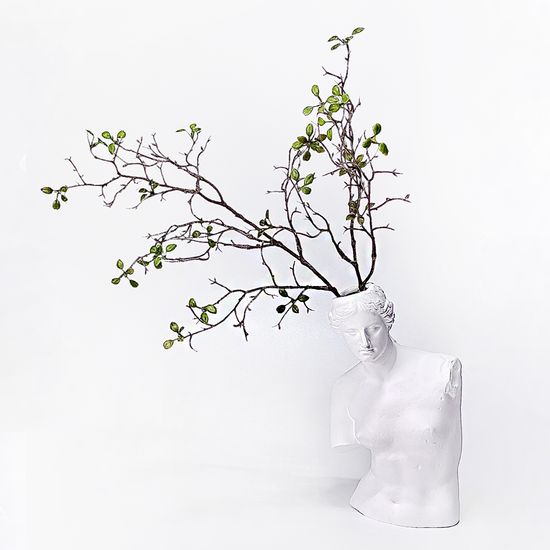 비너스 반신 오브제 인테리어 석고상 화병 화분