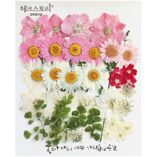 [압화 꽃모음 - B타입] 미니신부 꽃모음