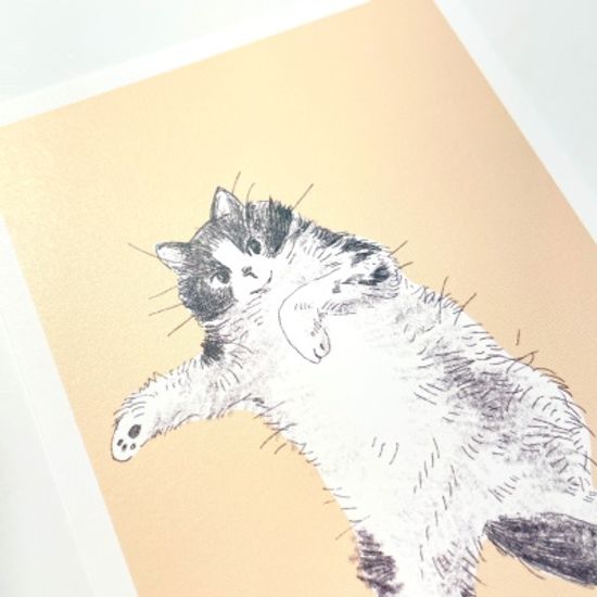 고양이 엽서 베이지
