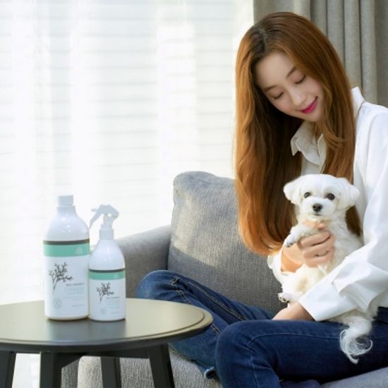 나무앤미 피톤치드 편백잎수액 3L+사은품 380ml 수액