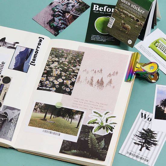 데코 스티커 북 50매 그린(WB44447)