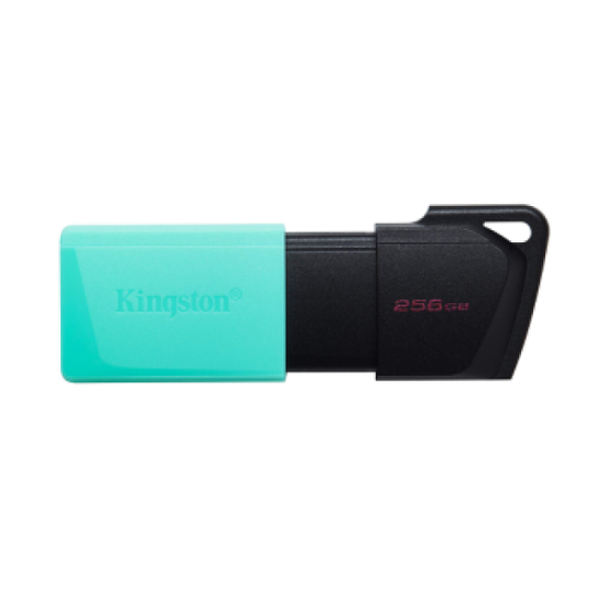 킹스톤  USB3.2 Gen1 USB메모리 DTXM 256GB
