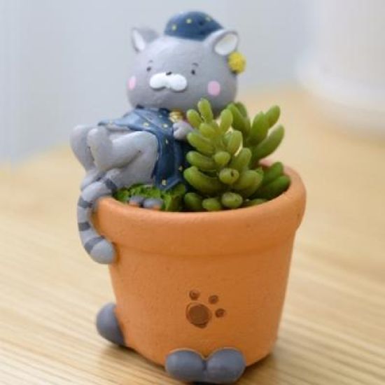 홈가든 귀염둥이 고양이 미니화분 꿈나라 추카추카넷