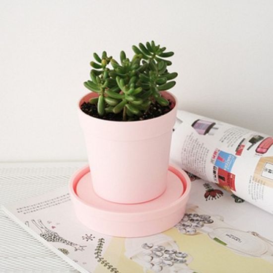 아이그루 셀프워터링 데스크팟 (핑크)