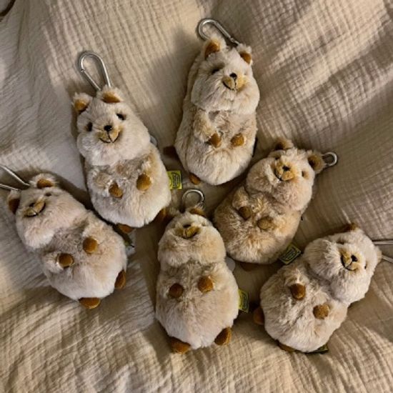 플러피애니멀-행복한쿼카 파우치/키홀더