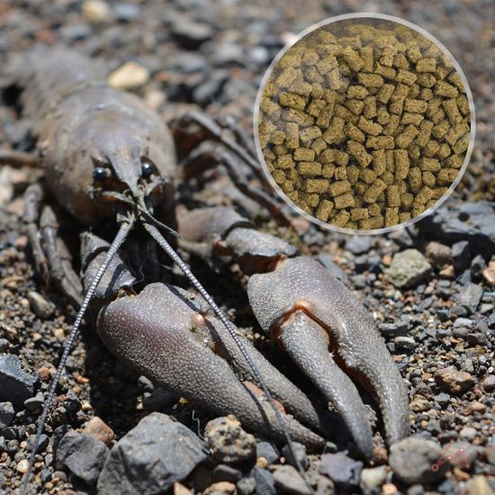 가재사료 갑각류 간식 먹이 50g(WF40FE7)