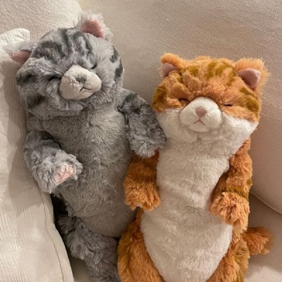 무릎인형★잠자는 쓰야쓰야 줄무늬 고양이 