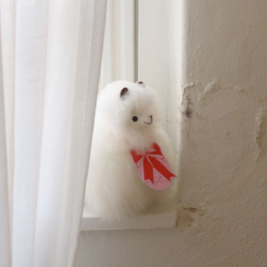 [아르떼알파카] 페루 핸드메이드 알파카인형(S size)