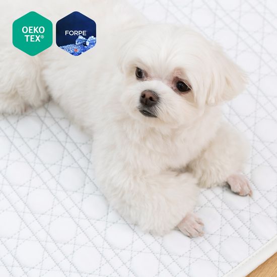 알래스카 아이스 포르페 국산 애견 냉감 방석