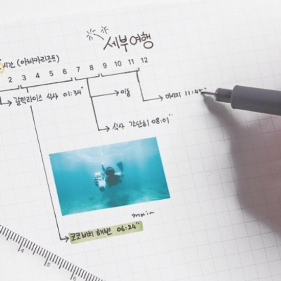 플랜커스 마스킹테이프 타임 12H 5mm (3개입)