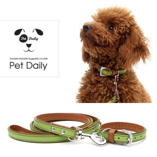펫데일리 럭셔리 투톤 가죽 목줄-그린 브라운