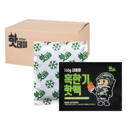 핫데이핫팩 혹한기형 160g X 100매