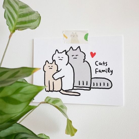 귀여운 고양이 엽서 4종