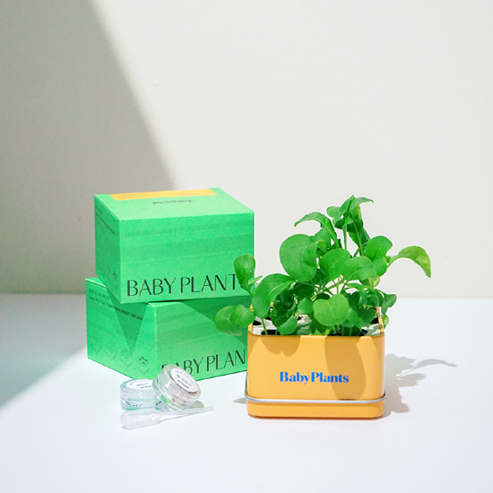 Baby Plants - Fresh Lunch