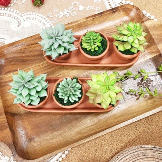 블루버드 다육이 미니 화분 세트