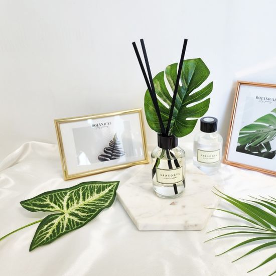 시즈넬 플라워 디퓨저 100ml 몬스테라