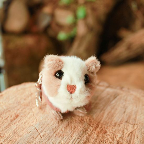 인형키링 부코스키 기니피그 피기