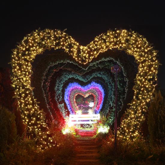 [도토로]300구 녹색선 LED 웜색 지니전구(30M) (점멸)