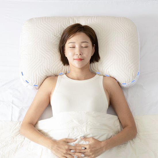 통째로 빨아쓰는 베개 퍼펙트 기절베개 2colors