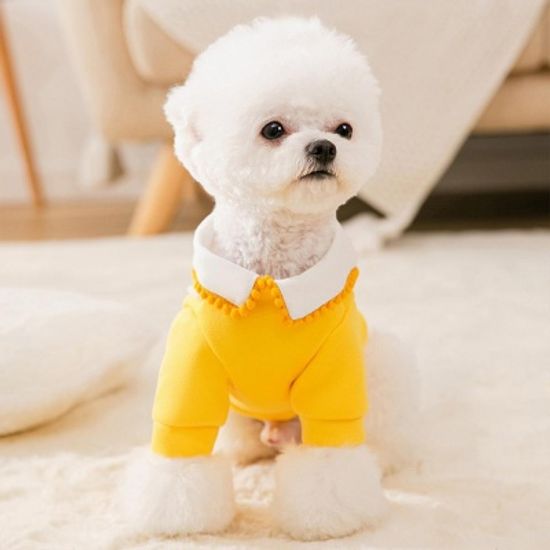 강아지 고양이 귀여운 애견의류 기모 카라티셔츠
