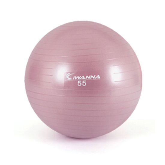 아이워너 운동 짐볼 55cm 와일드핑크(WD65B13)
