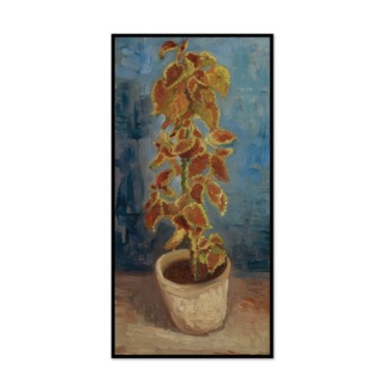 [THE BELLA] 고흐 - 쐐기풀이 있는 화분 