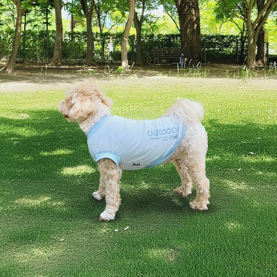 레토 데일리 강아지옷 티셔츠 애견의류 LDR-T04