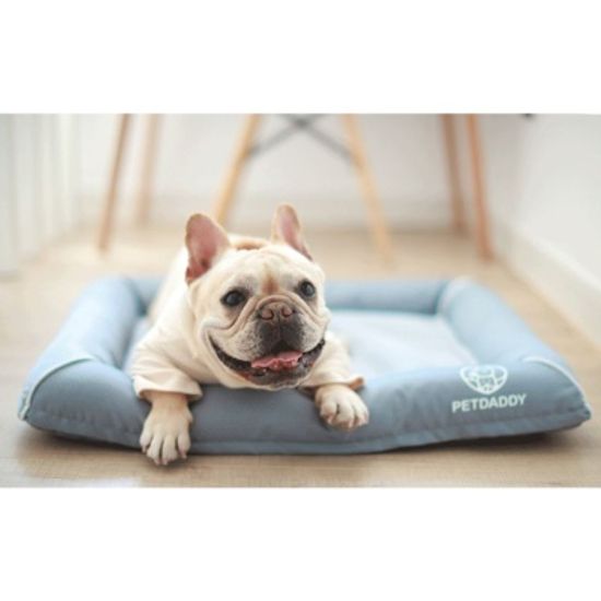 [봉봉펫닷컴] 펫 쿨 방석