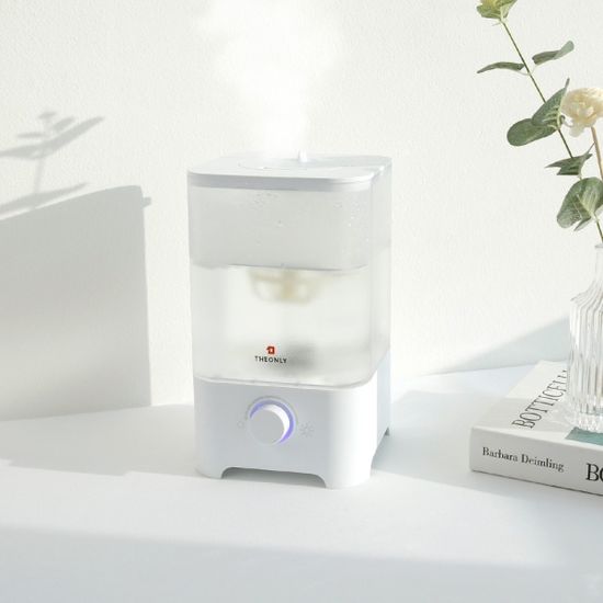 디온리 간편 통세척 초음파 미니 가습기 DGH2001T