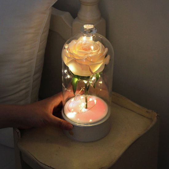 로즈 블랑돔 LED 무드등-Rose Blanc Dome led lights