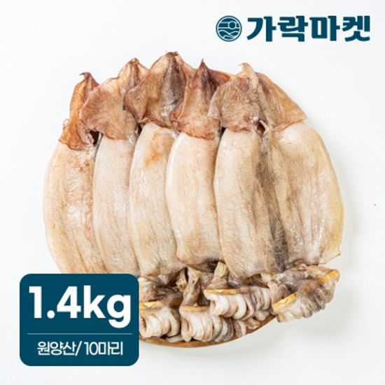 [가락마켓]원양산 반건조 오징어 1.4kg 내외 피데기
