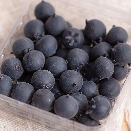 블루베리 모형 한 팩 (약 45개)