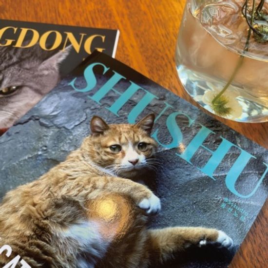 매거진 슈슈 유선노트