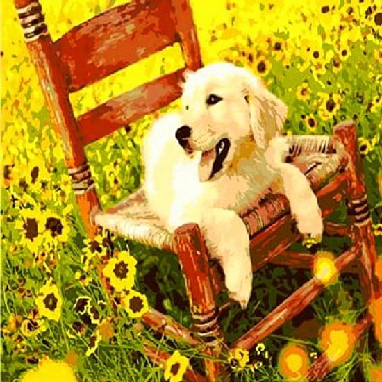 [DIY명화]Q648 낡은의자와강아지 size 50*40cm