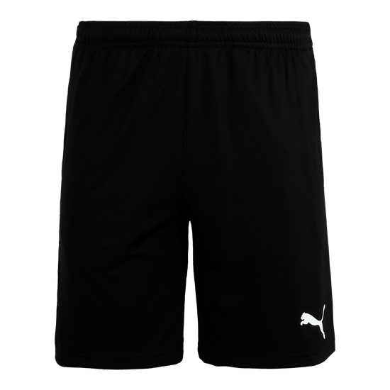 푸마 팀라이즈 트레이닝 쇼츠(65733603)