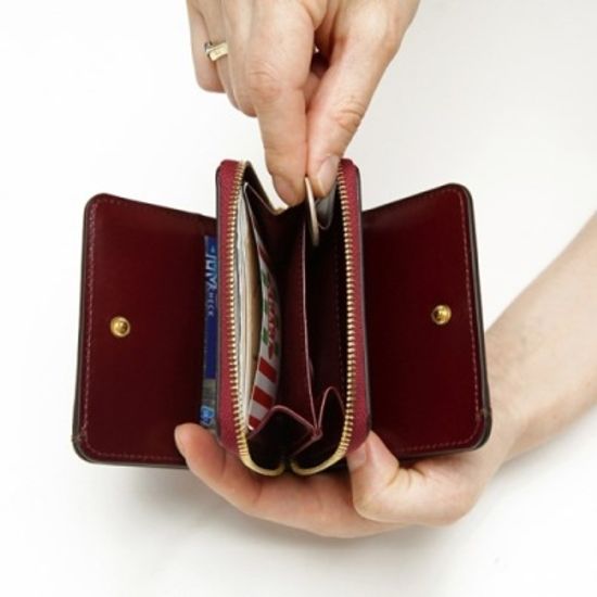 Ane MULTI WALLET(M)_BURGUNDY