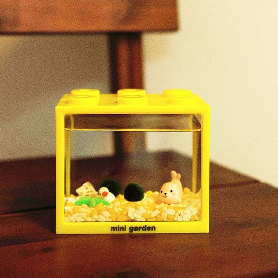 블록어항 노랑 물개친구들과 마리모M 키우기