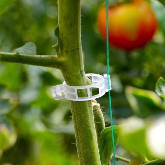 원예 식물 줄기 덩굴 고정 타이 클립 지주대 50P
