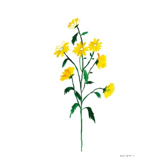 소국소국 / 일러스트 액자