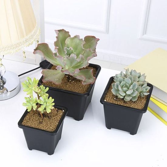 G1 플라스틱 사각 다육이 화분(14 X 14cm)(WCD268C)