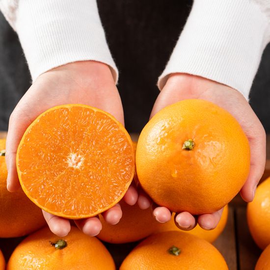 [대한민국농수산] 제주 산지직송 천혜향