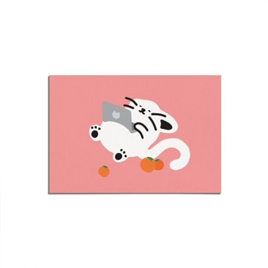 [무직타이거] 귤 뚱찌 엽서