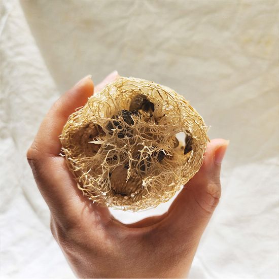 얼스호텔 국내산 천연수세미 10CM 친환경  