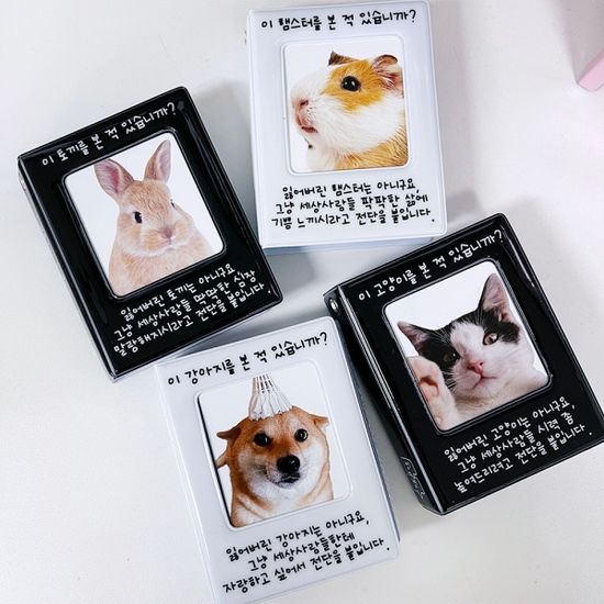 수앙스튜디오 전단지 1단 점보 콜렉트북
