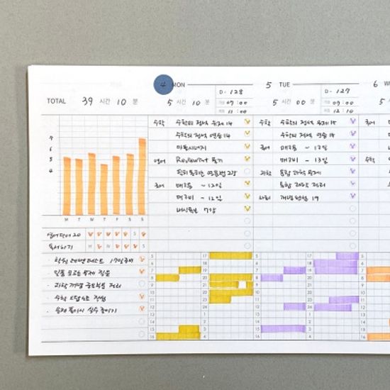 건망증 더메모 와이드 스터디플래너 6개월