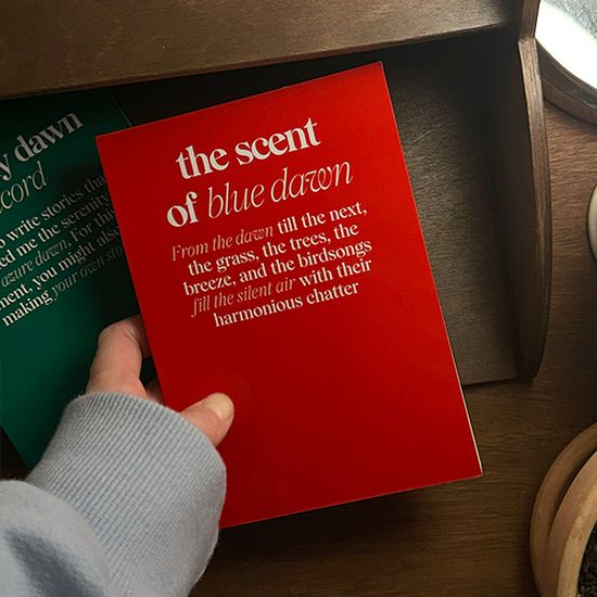 [프롬디얼리던] 소프트 라인노트