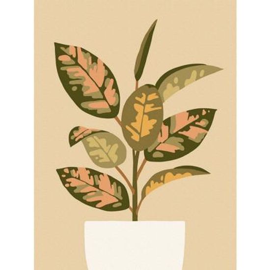 수채화 고무나무 (캔버스) DIY그리기 30x40