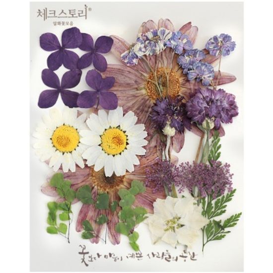 [압화 꽃모음 - A타입] 데이지처럼 꽃모음