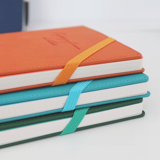 비팬시 마이데이 하드커버 카드포켓 만년 다이어리 A5